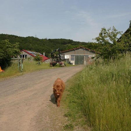شقة Rech Hof Urlaub Auf Dem Bauernhof Schalkenbach المظهر الخارجي الصورة