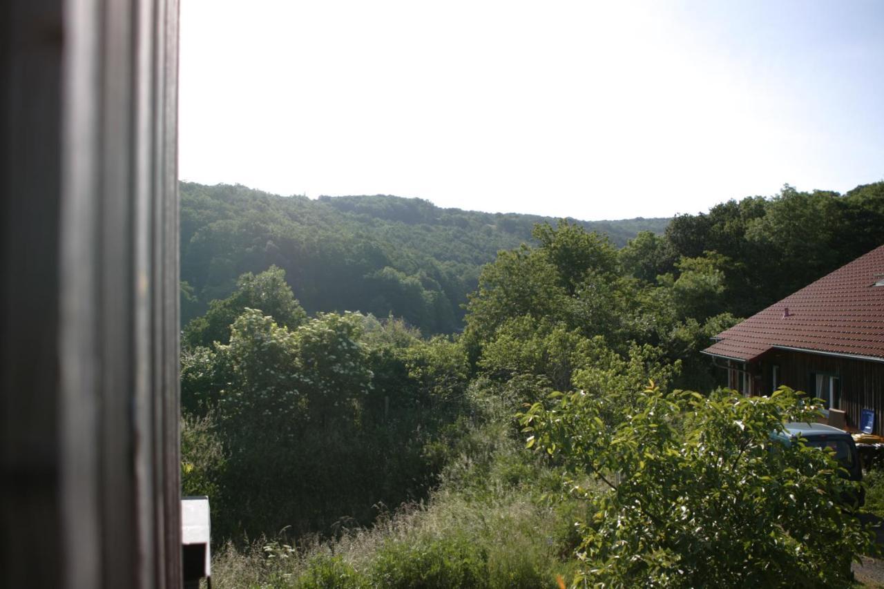 شقة Rech Hof Urlaub Auf Dem Bauernhof Schalkenbach المظهر الخارجي الصورة