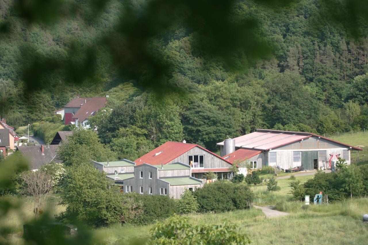 شقة Rech Hof Urlaub Auf Dem Bauernhof Schalkenbach المظهر الخارجي الصورة