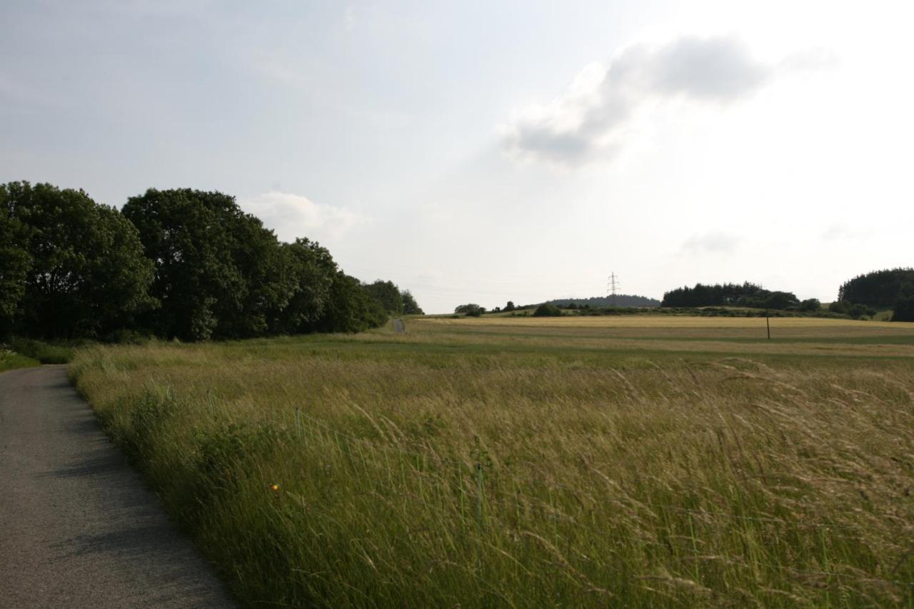 شقة Rech Hof Urlaub Auf Dem Bauernhof Schalkenbach المظهر الخارجي الصورة