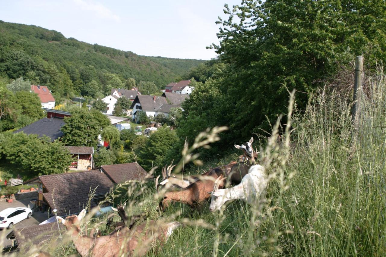 شقة Rech Hof Urlaub Auf Dem Bauernhof Schalkenbach المظهر الخارجي الصورة