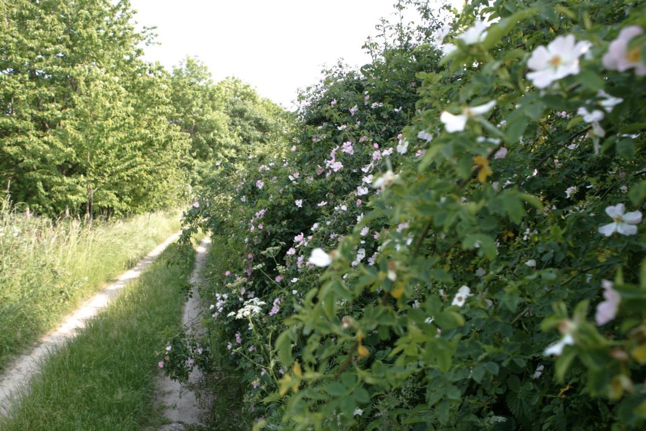 شقة Rech Hof Urlaub Auf Dem Bauernhof Schalkenbach المظهر الخارجي الصورة